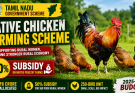 Native Chicken Farming Scheme in Tamil Nadu 2026