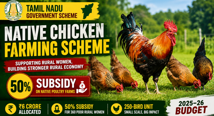 Native Chicken Farming Scheme in Tamil Nadu 2026