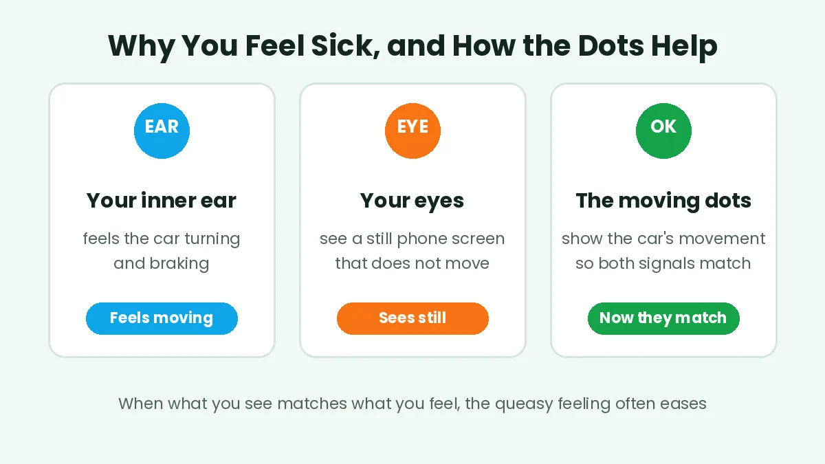 How a car sickness app works by matching what your eyes see with what your inner ear feels